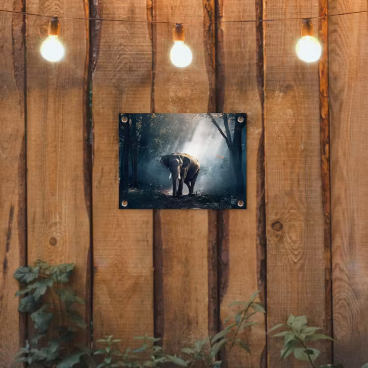 Olifant - Dieren - Licht - Bos - Natuur - Wilde dieren tuinposter los doek klein -sfeer1