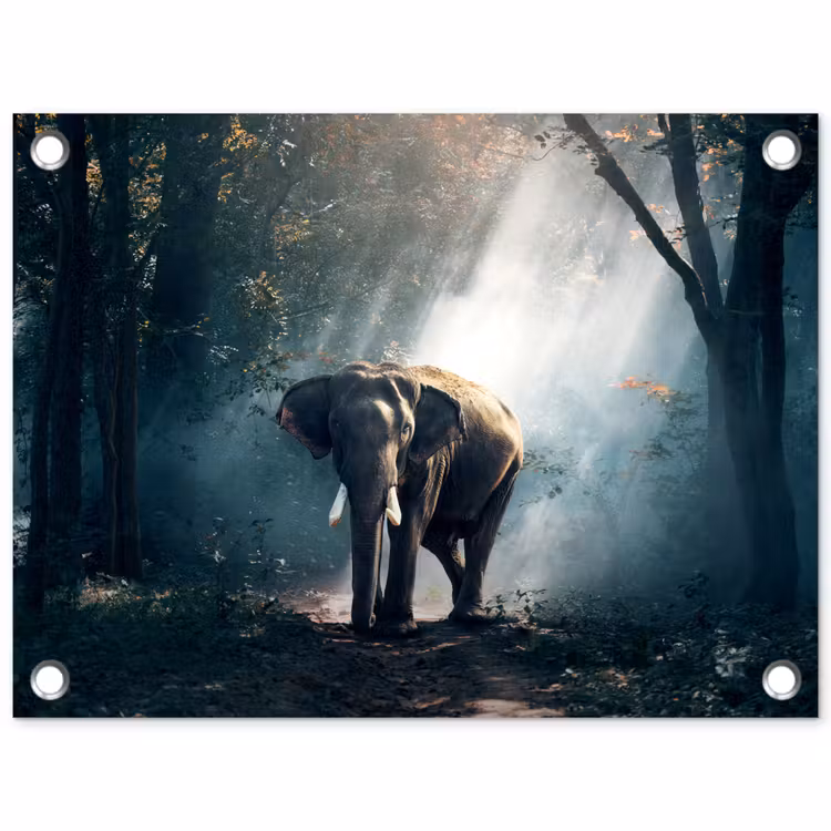 Olifant in mystiek bos tuinposter los doek klein -3d