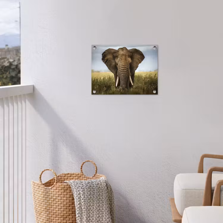 Olifant - Natuur - Gras - Dieren - Landschap tuinposter los doek klein -sfeer8