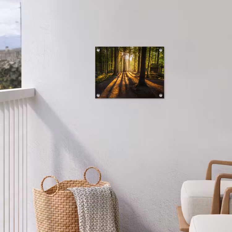 Avondlicht in het bos tuinposter los doek klein -sfeer8