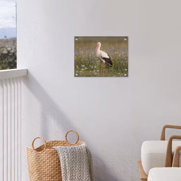 Ooienvaar - Bloemen - Weide - Kleurrijk tuinposter los doek klein -sfeer8