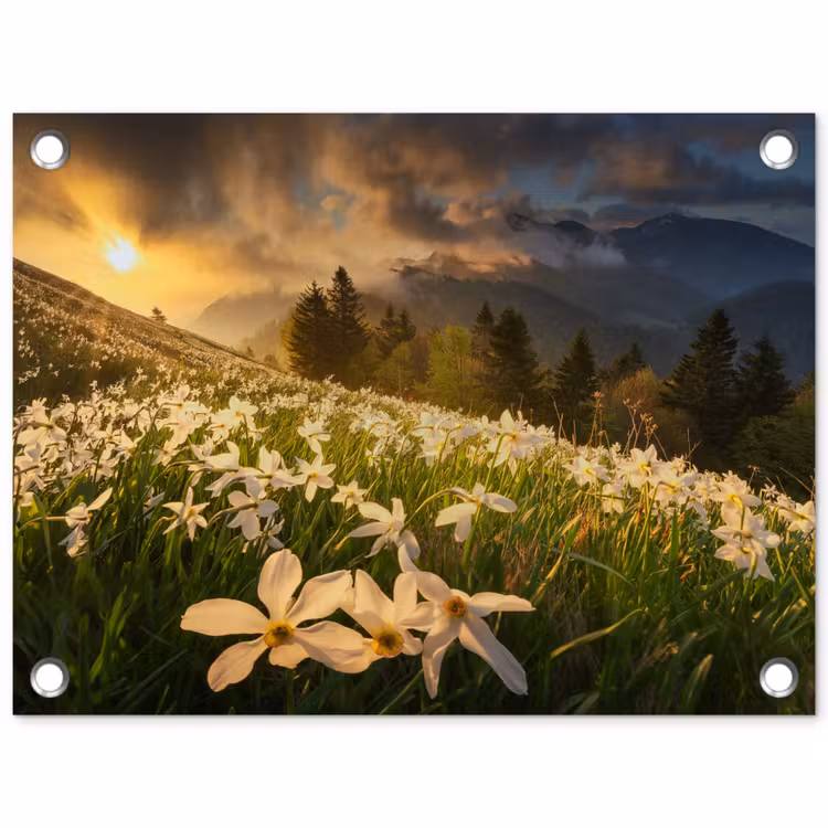 Bloemenveld - Heuvels - Zonsondergang - Berg - Natuur - Wit - Heuvels tuinposter los doek klein -3d