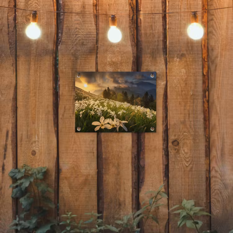 Bloemenveld - Heuvels - Zonsondergang - Berg - Natuur - Wit - Heuvels tuinposter los doek klein -sfeer1