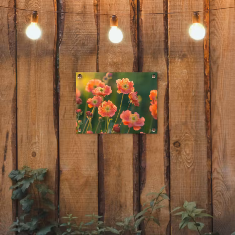 Bloemenveld - Zonnestralen - Oranje tuinposter los doek klein -sfeer1