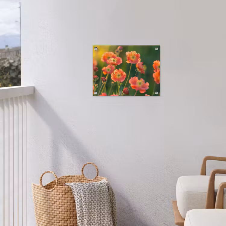 Bloemenveld - Zonnestralen - Oranje tuinposter los doek klein -sfeer8