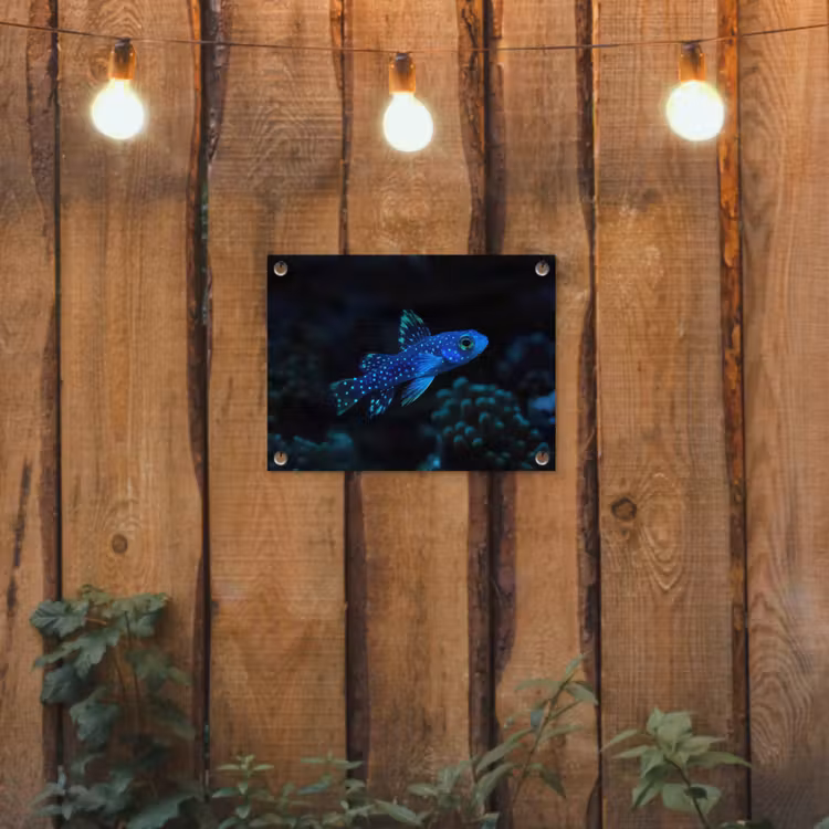 Vis - Stippen - Koraal - Blauw tuinposter los doek klein -sfeer1