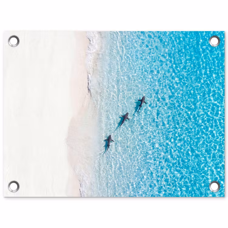 Vis - Oceaan - Strand - Turquoise - Natuur tuinposter los doek klein -3d