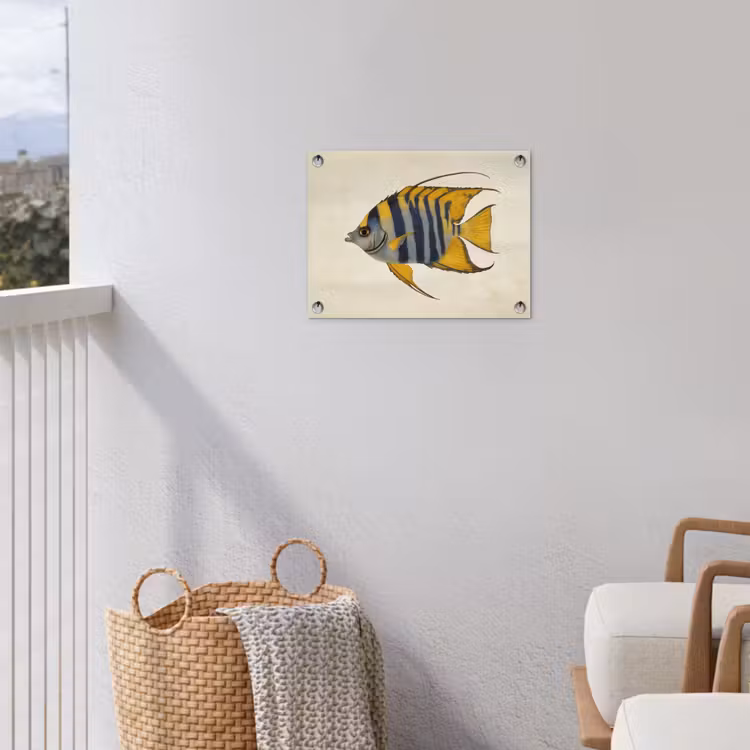 Vis - Sierlijk - Vinnen - Illustratie tuinposter los doek klein -sfeer8