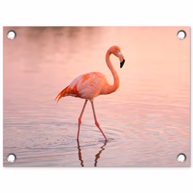 Flamingo - Water - Roze tuinposter los doek klein -3d