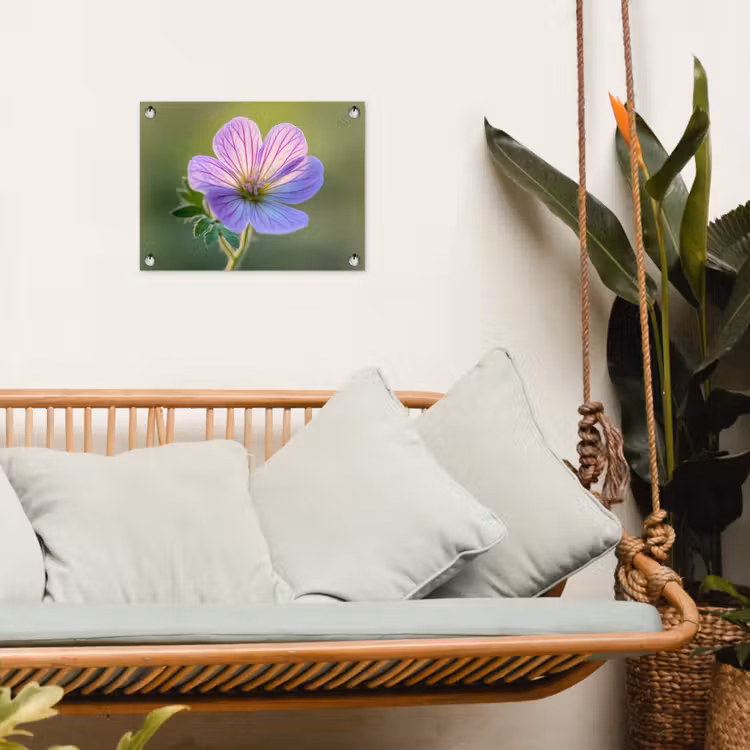 Bloem - Close up - Paars tuinposter los doek klein -sfeer7