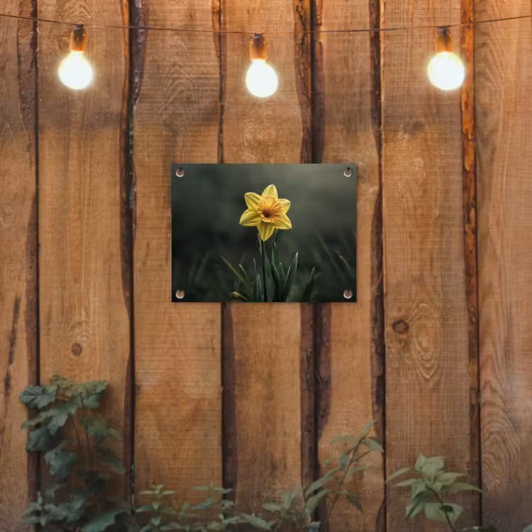 Bloem - Narcis - Gras - Geel tuinposter los doek klein -sfeer1