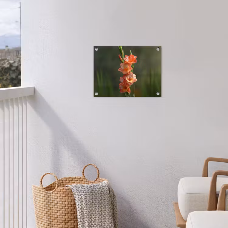 Bloem - Gladiolen - Zalmroze tuinposter los doek klein -sfeer8