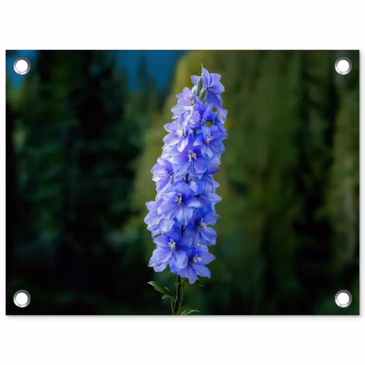 Bloemen - Blauw - Dennenboom tuinposter los doek klein -3d