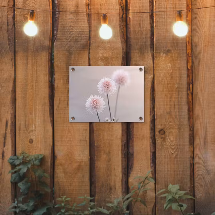 Bloemen - Bollen - Roze tuinposter los doek klein -sfeer1