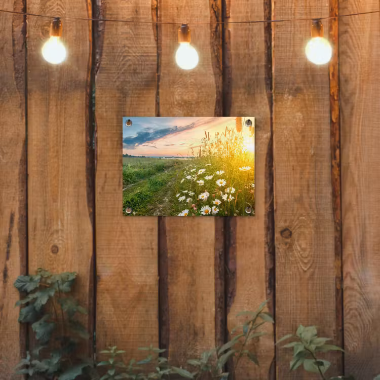 Bloemen - Madelief - Natuur - Zon - Horizon tuinposter los doek klein -sfeer1