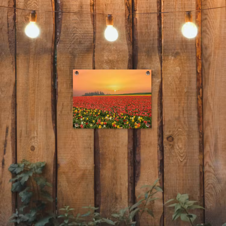 Bloemen - Landschap - Tulpen - Zonsondergang tuinposter los doek klein -sfeer1