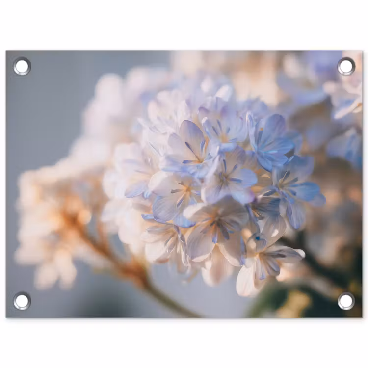 Bloemen - Lichtblauw - Wazig - Trosje tuinposter los doek klein -3d