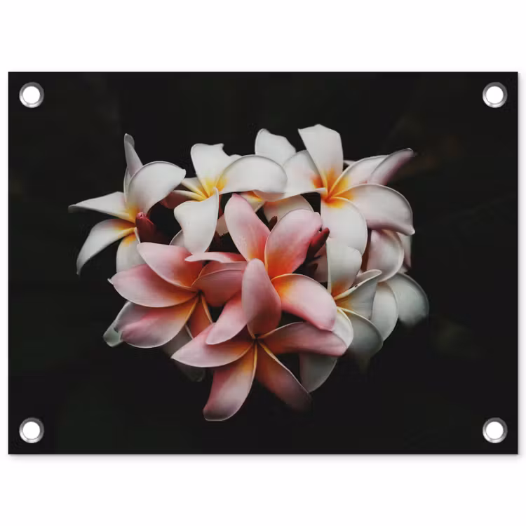 Bloemen - Roze - Zwart - Flora - Botanisch tuinposter los doek klein -3d