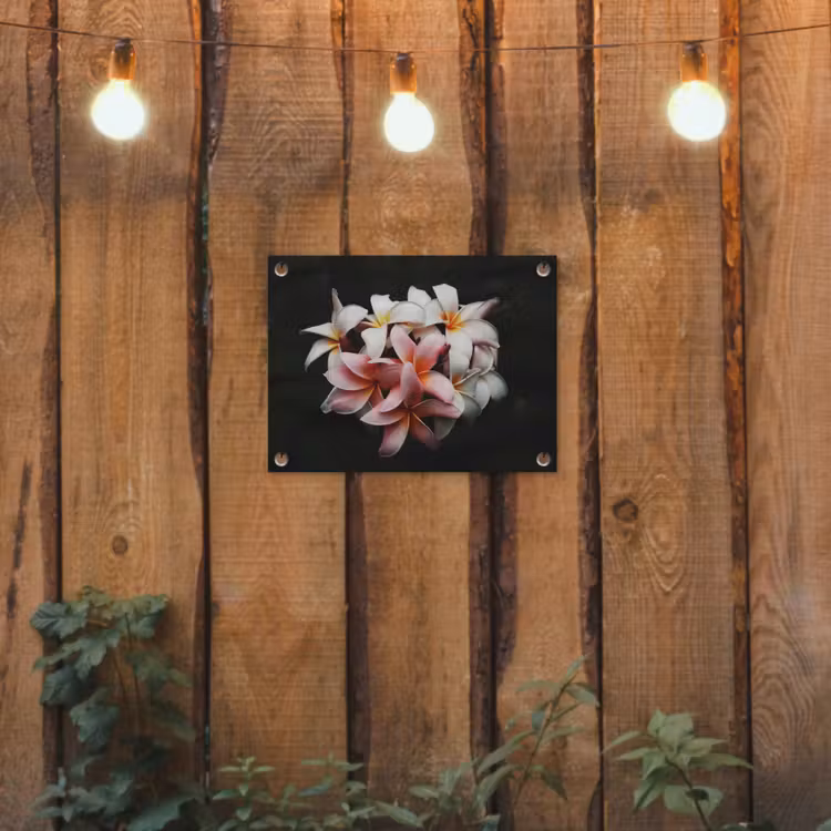 Bloemen - Roze - Zwart - Flora - Botanisch tuinposter los doek klein -sfeer1