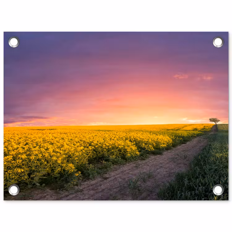 Bloemen - Weg - Lucht - Geel - Paars - Zonsondergang - Natuur tuinposter los doek klein -3d