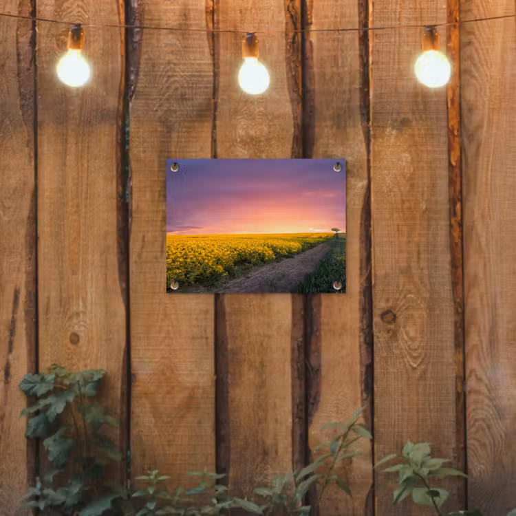 Bloemen - Weg - Lucht - Geel - Paars - Zonsondergang - Natuur tuinposter los doek klein -sfeer1