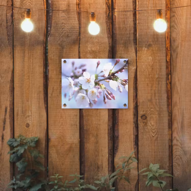 Bloemen - Sakura - Tak - Bloesem takken tuinposter los doek klein -sfeer1