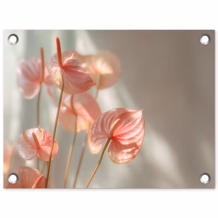 Bloemen - Stelen - Roze - Schaduw tuinposter los doek klein -3d