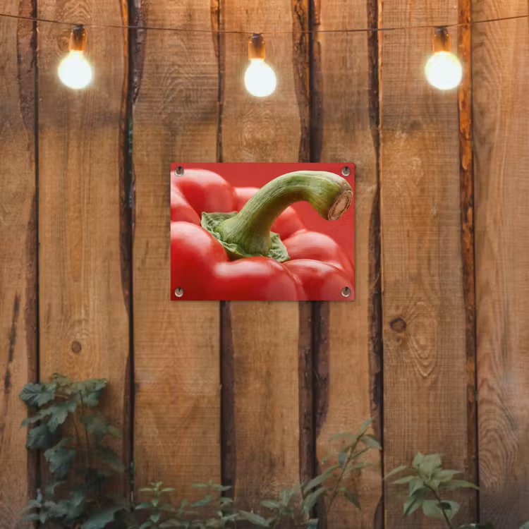 Garden Poster - Food - Bell Pepper - Red - Eten - Paprika - Rood tuinposter los doek klein