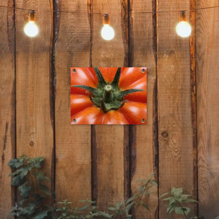 Garden Poster - Food - Tomato - Red - Eten - Tomaat - Rood tuinposter los doek klein