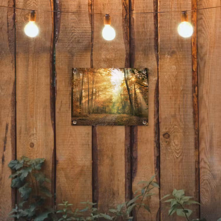 Bos - Herfst - Zon - Landschap - Natuur - Bomen - Bladeren tuinposter los doek klein -sfeer1
