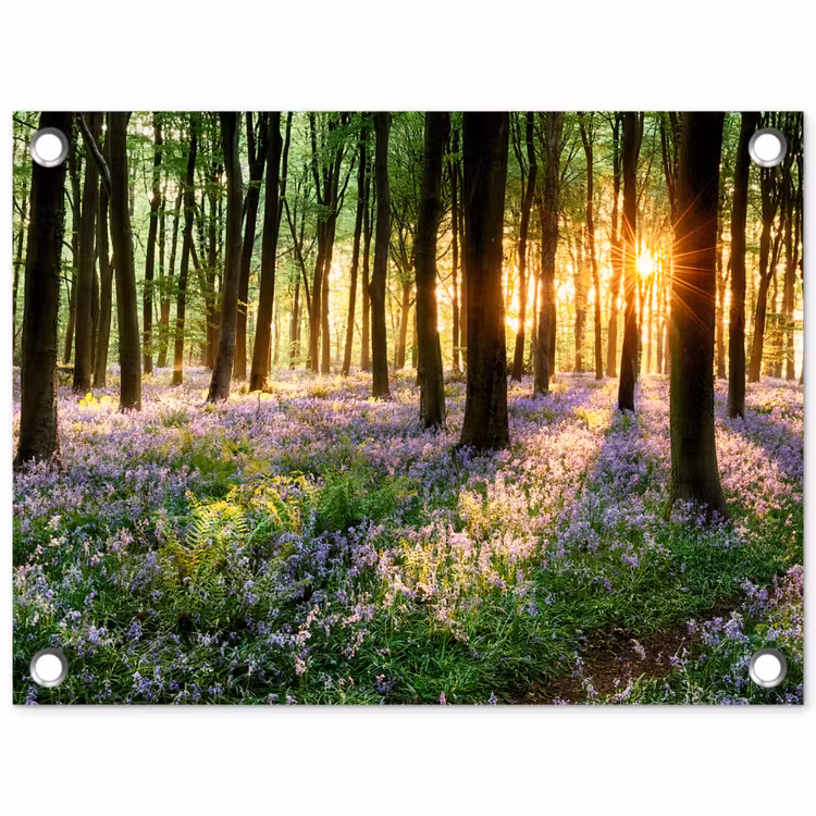 Bos - Bloemen - Lavendel - Zon - Paars - Natuur tuinposter los doek klein -3d