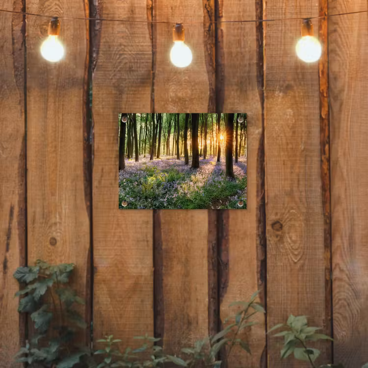 Bos - Bloemen - Lavendel - Zon - Paars - Natuur tuinposter los doek klein -sfeer1