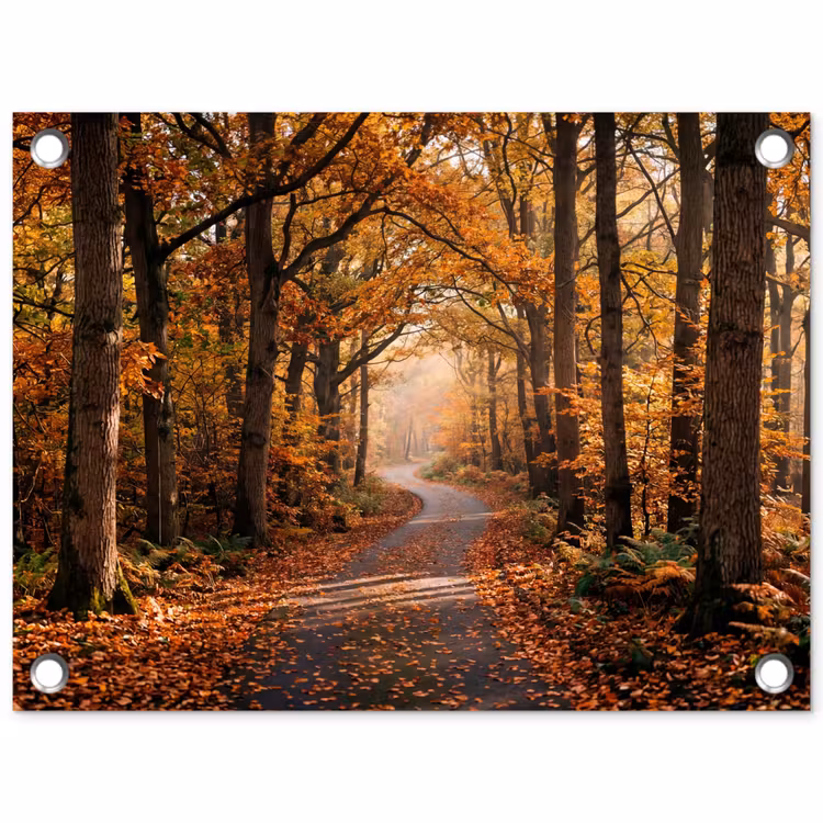 Bospad - Herfstbos - Bladeren - Oranje - Nostalgisch tuinposter los doek klein -3d