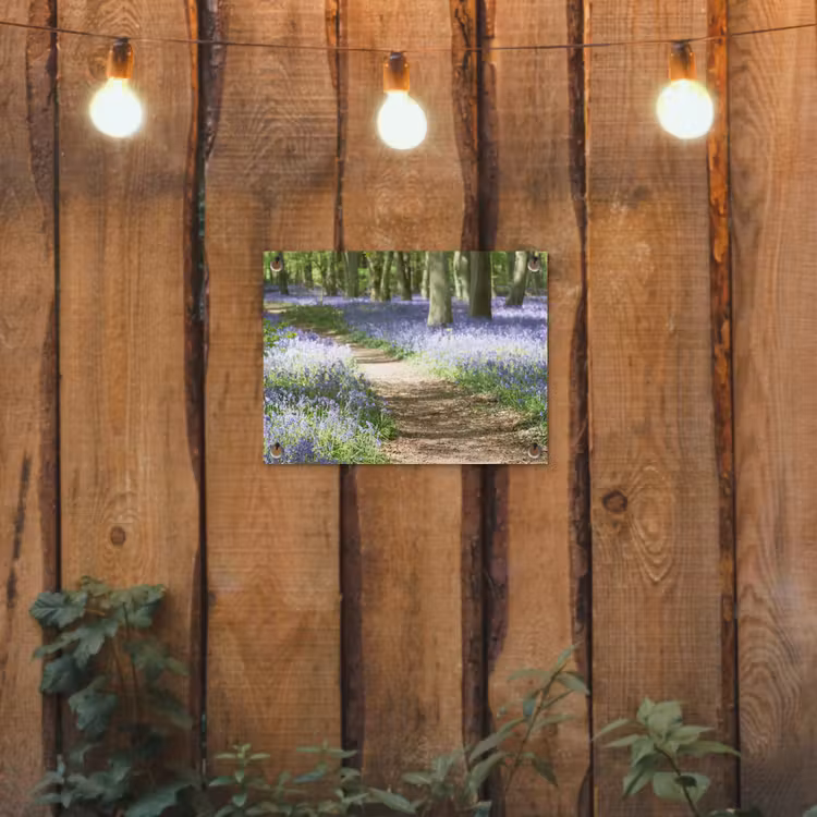 Bos - Pad - Bloemen - Paars - Groen - Natuur tuinposter los doek klein -sfeer1