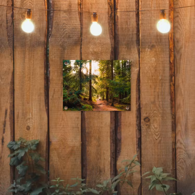 Bos - Pad - Bomen - Groen - Zon - Natuur tuinposter los doek klein -sfeer1