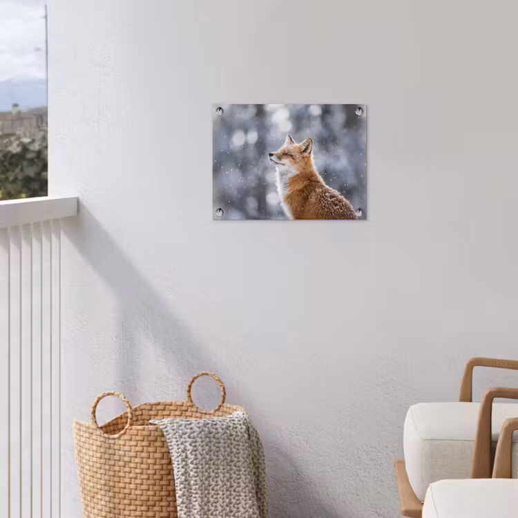 Vos - Sneeuwval - Portret - Winter - Sfeervol tuinposter los doek klein -sfeer8