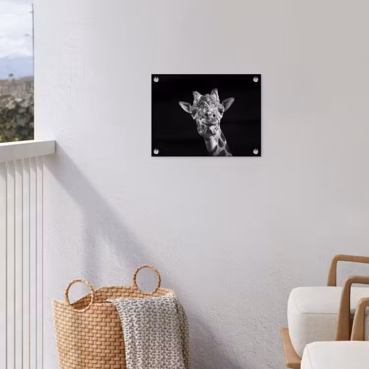 Giraffe - Dier - Zwart - Wit tuinposter los doek klein -sfeer8