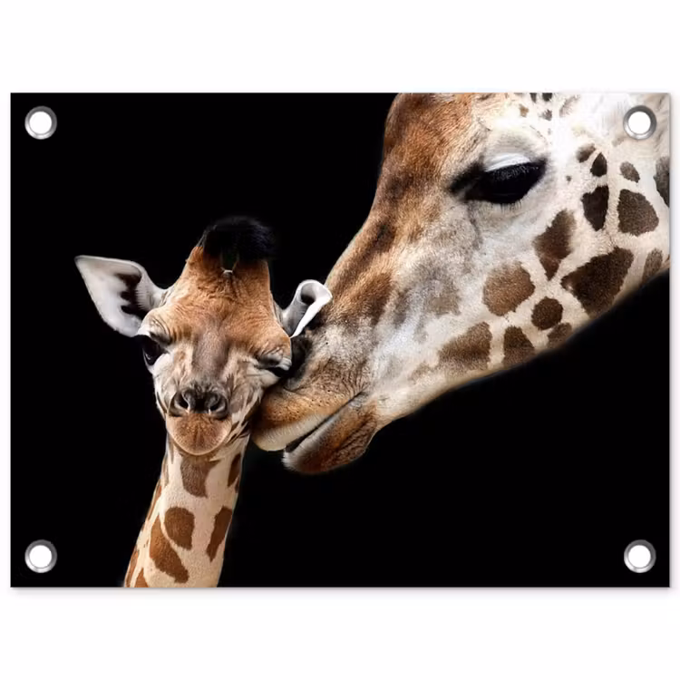 Giraffe - Dieren - Zwart - Portret - Dieren tuinposter los doek klein -3d