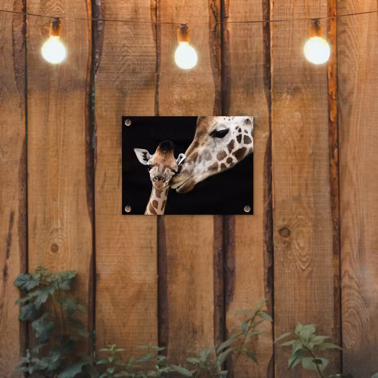Giraffe - Dieren - Zwart - Portret - Dieren tuinposter los doek klein -sfeer1