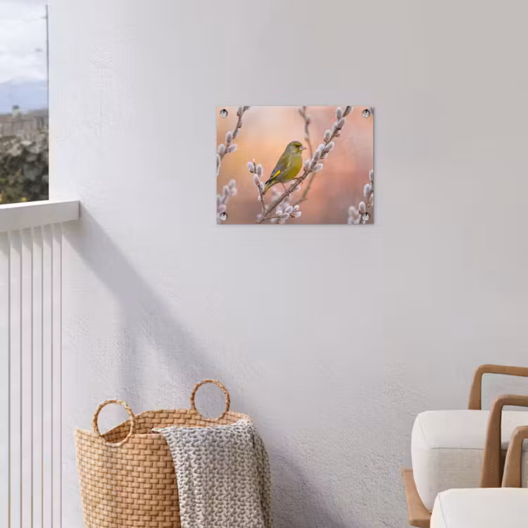 Groenling - Katjes - Lente - Natuur - Zacht tuinposter los doek klein -sfeer8
