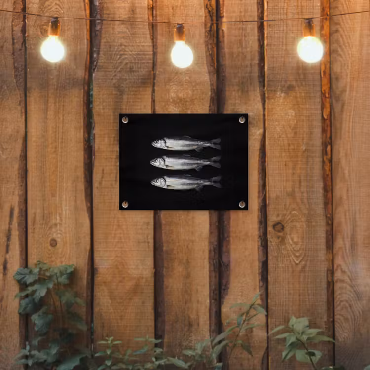 Haring - Vissen - Zwart tuinposter los doek klein -sfeer1