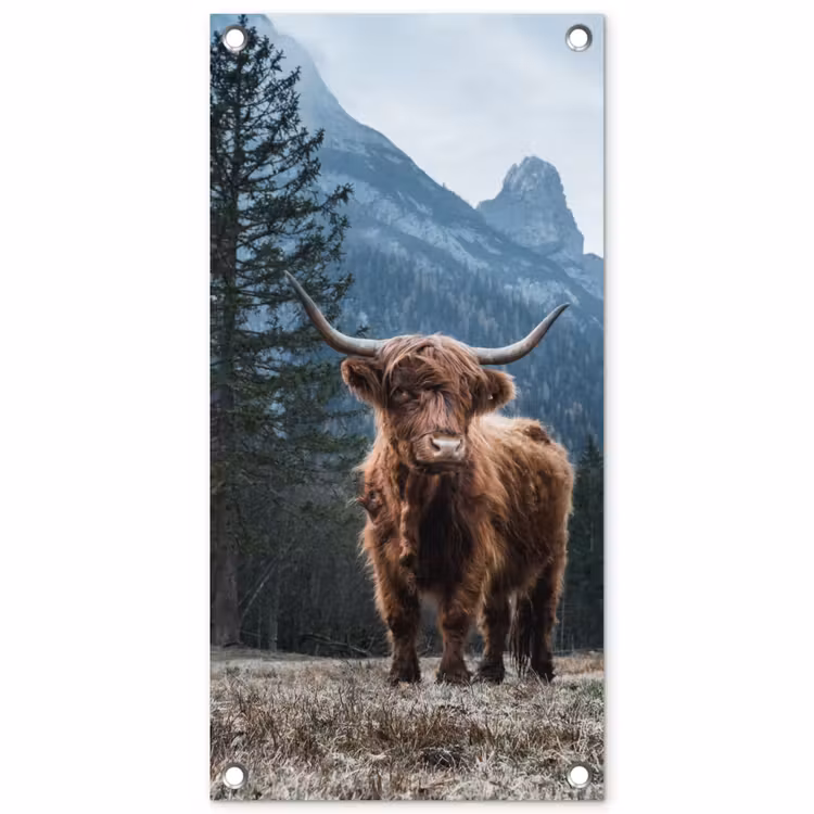 Hooglander voor Bergen tuinposter los doek klein -3d
