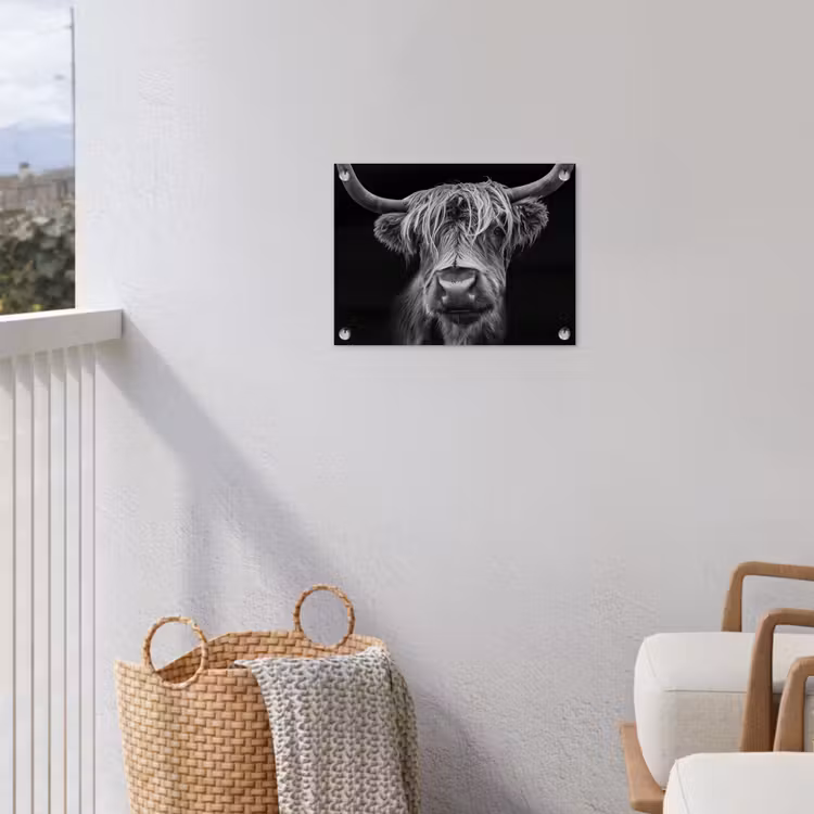 Hooglander in Zwart-Wit tuinposter los doek klein -sfeer8