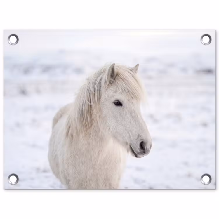 Paard - Kop - Winter - Dieren - Wit tuinposter los doek klein -3d