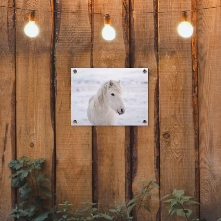 Paard - Kop - Winter - Dieren - Wit tuinposter los doek klein -sfeer1
