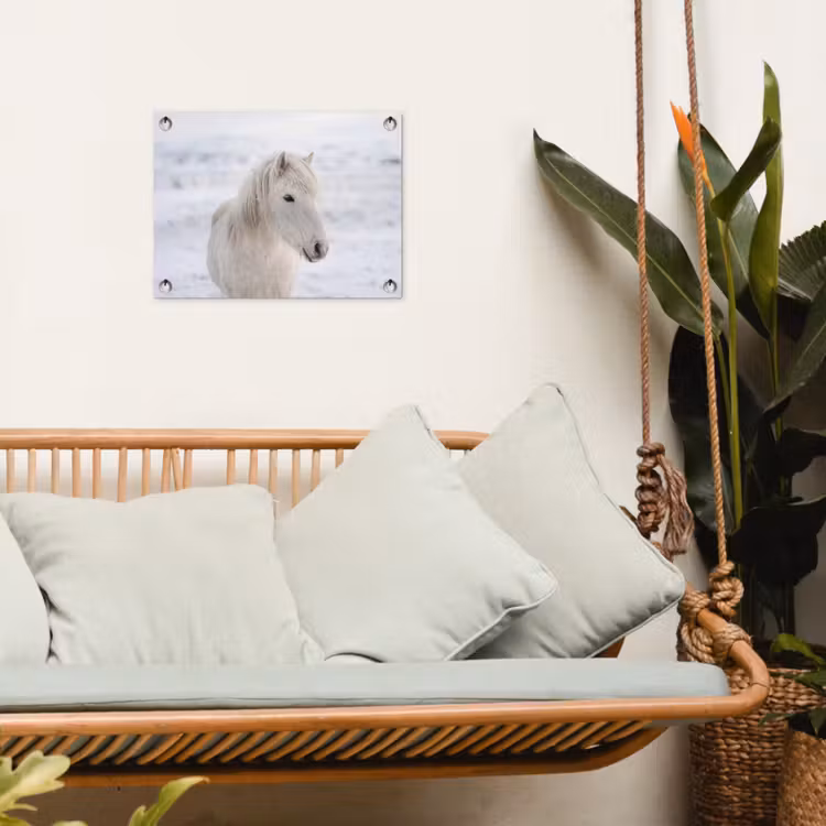 Paard - Kop - Winter - Dieren - Wit tuinposter los doek klein -sfeer7