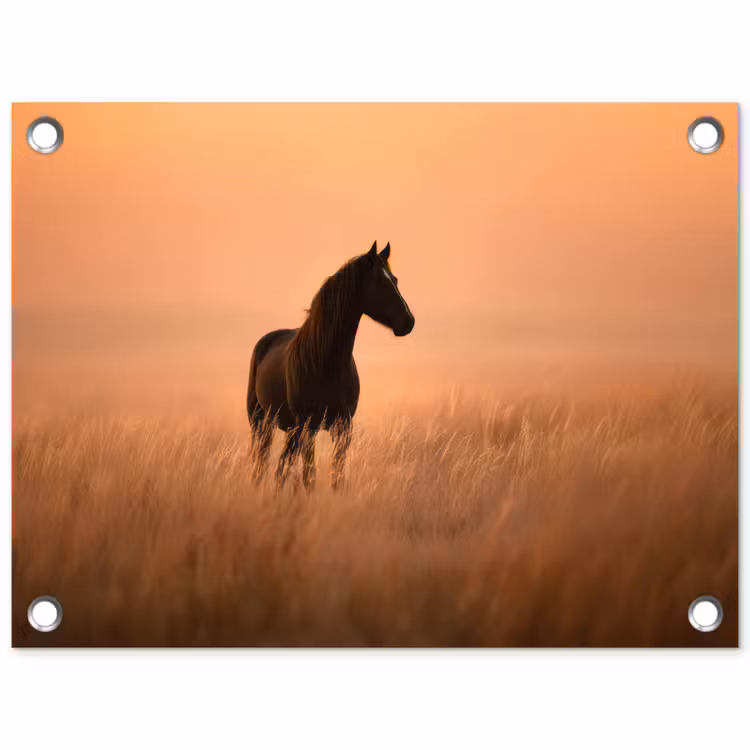 Paard - Grasveld - Zonsondergang tuinposter los doek klein -3d