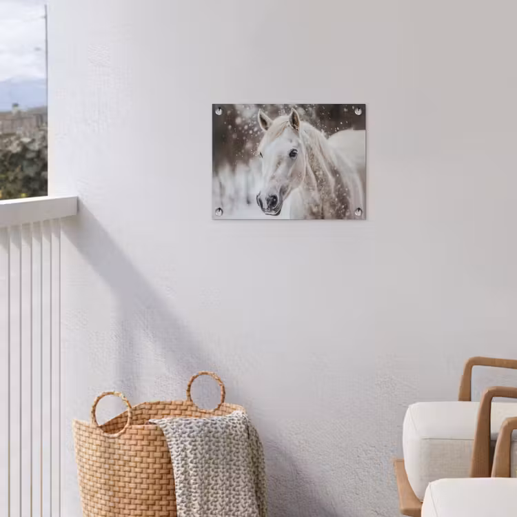 Paard - Wit - Winter - Natuur - Sneeuw - Dieren tuinposter los doek klein -sfeer8