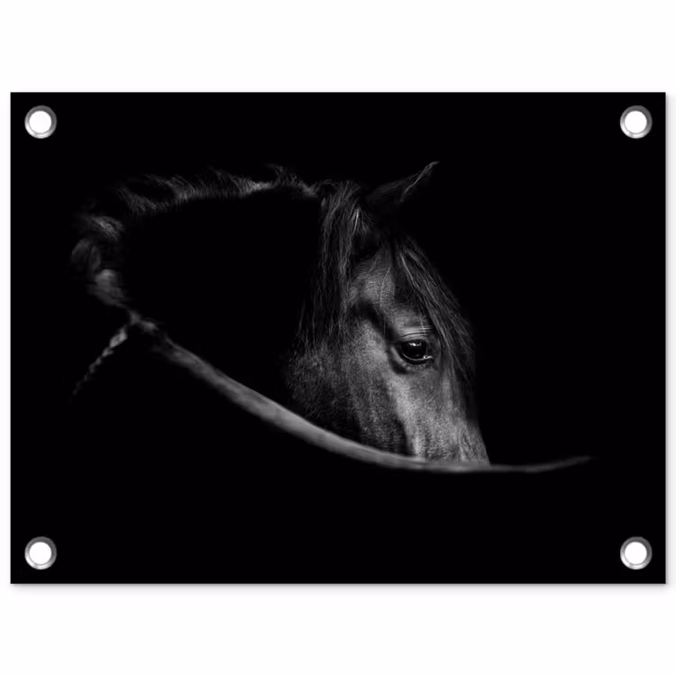 Paarden - Portret - Zwart - Dieren tuinposter los doek klein -3d