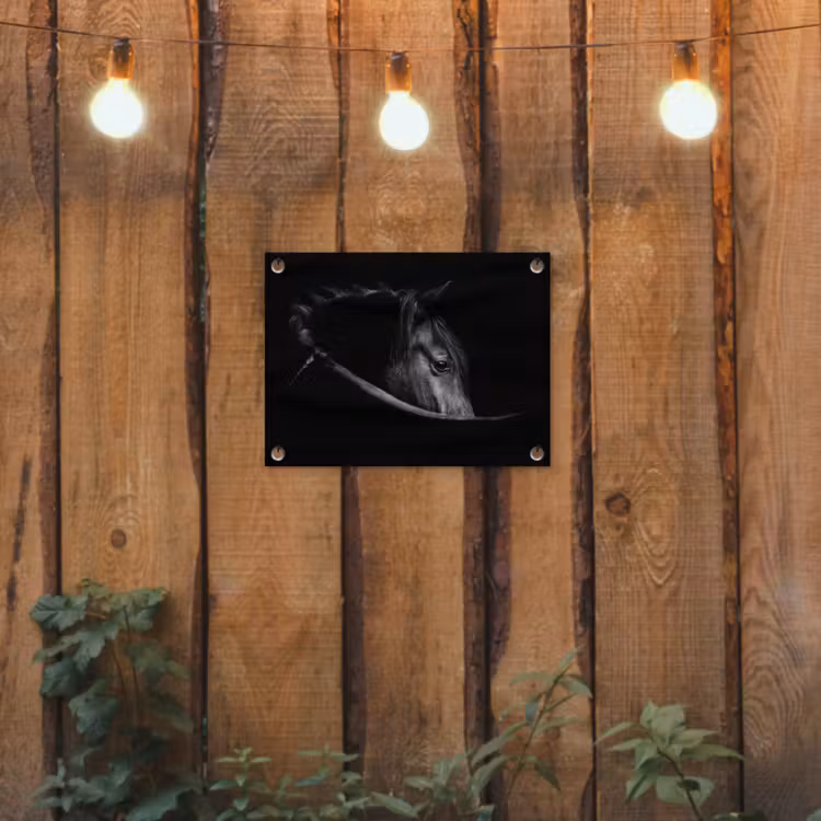 Paarden - Portret - Zwart - Dieren tuinposter los doek klein -sfeer1